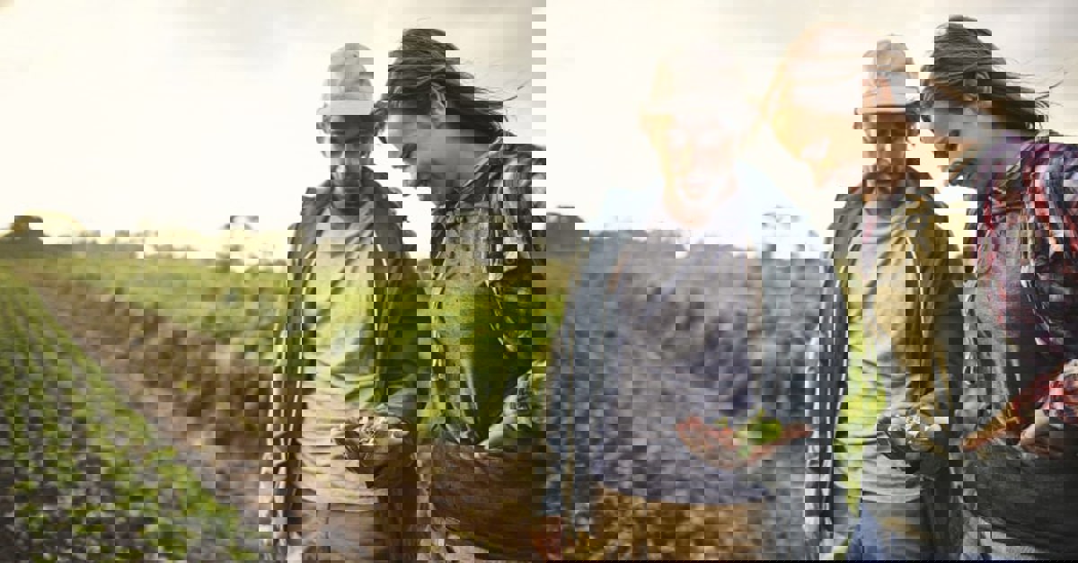 Vi tager et ansvar sammen 