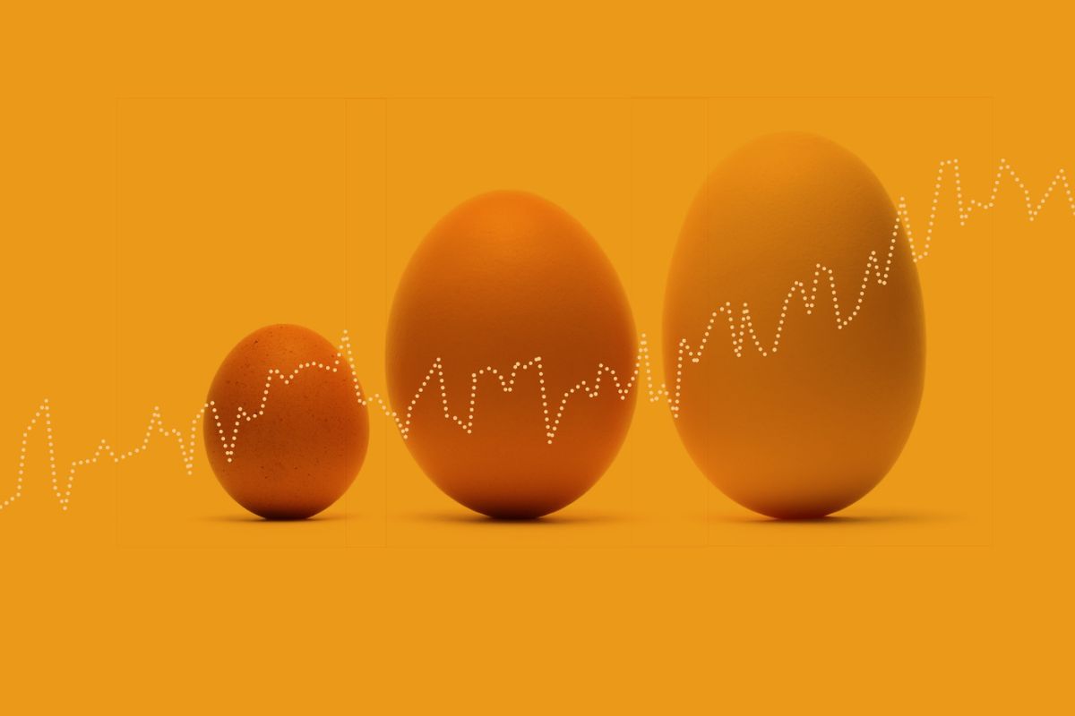 Hvilken Mix-fond passer til dig?